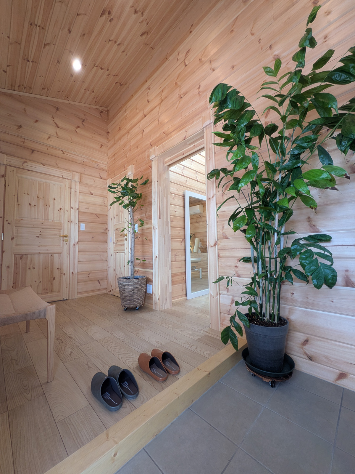 入口・グリーンがお出迎え