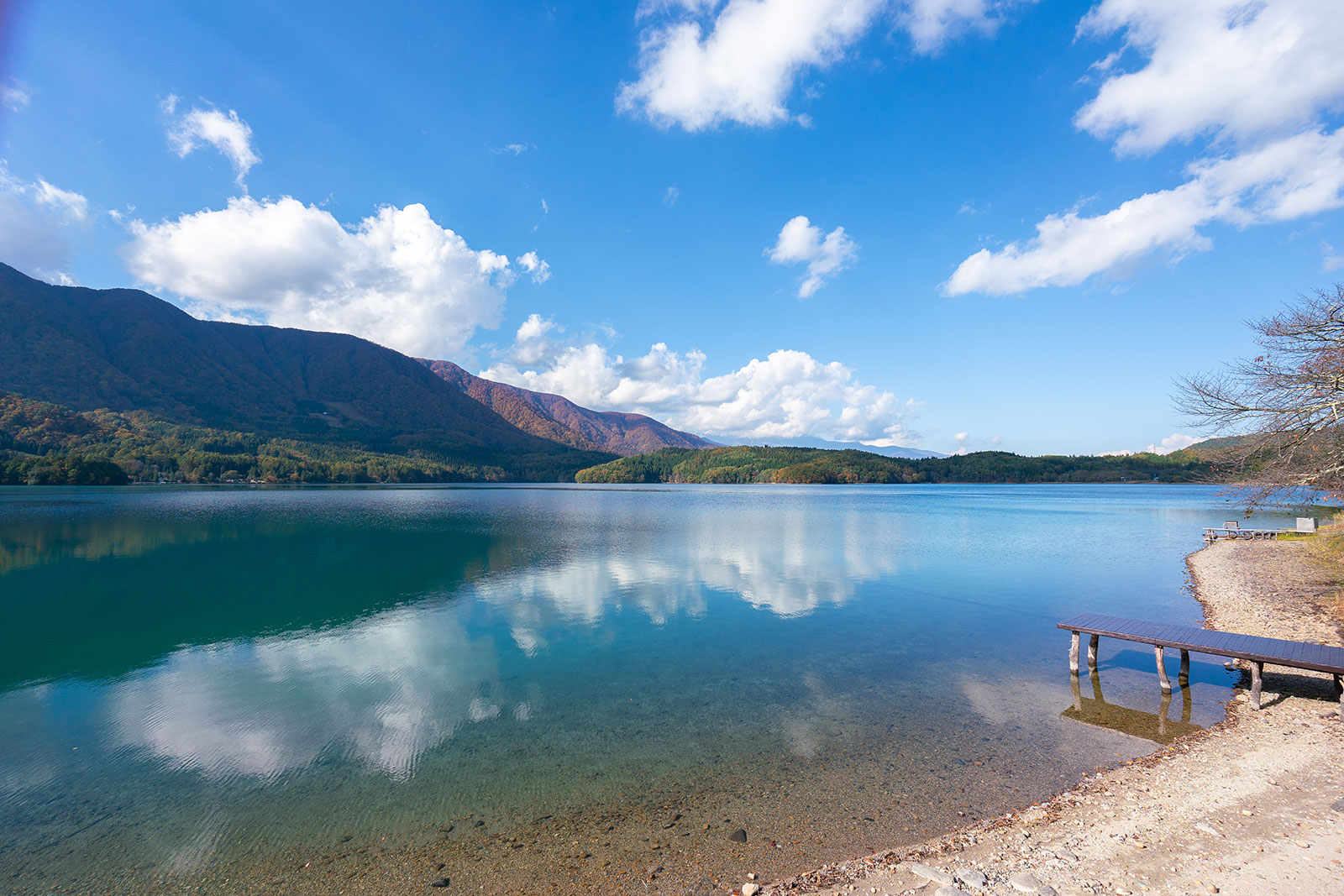 森と湖に囲まれた長野の自然風景